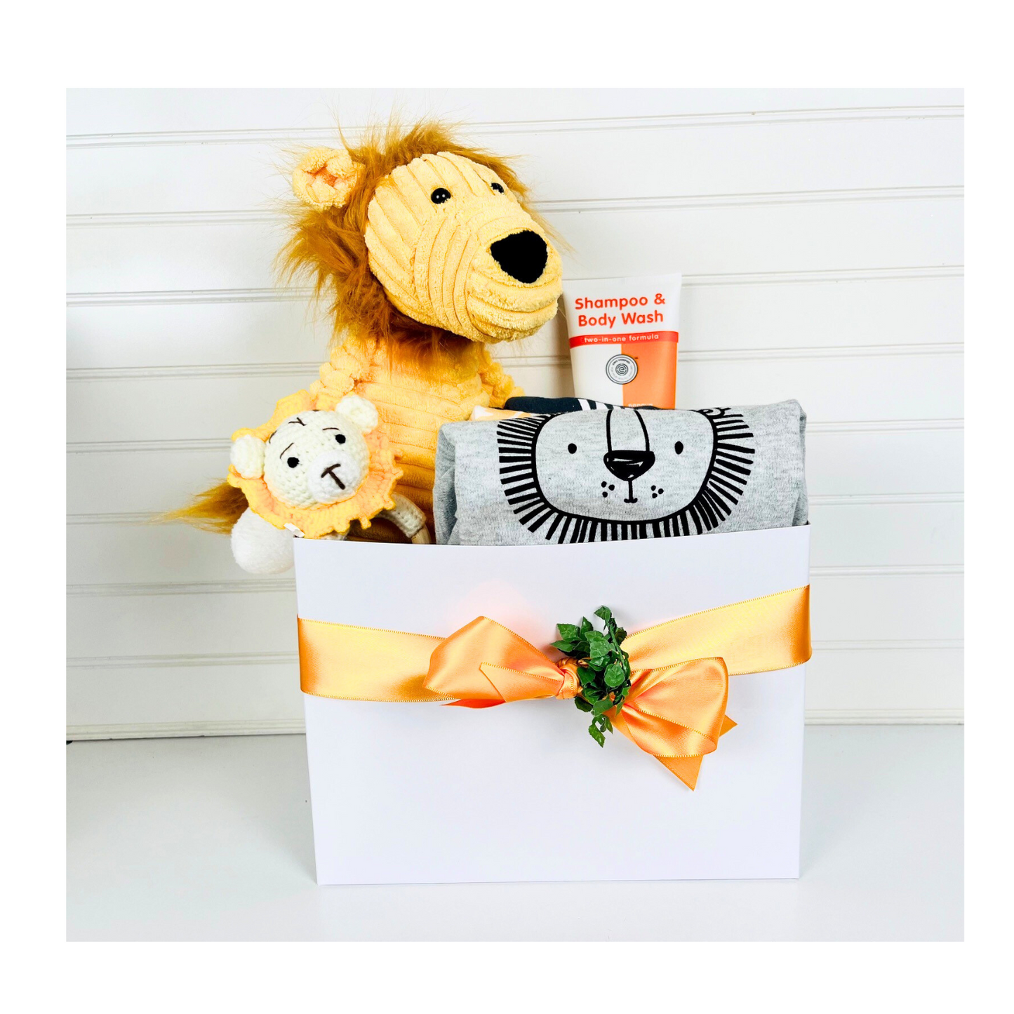 Baby Lion Gift