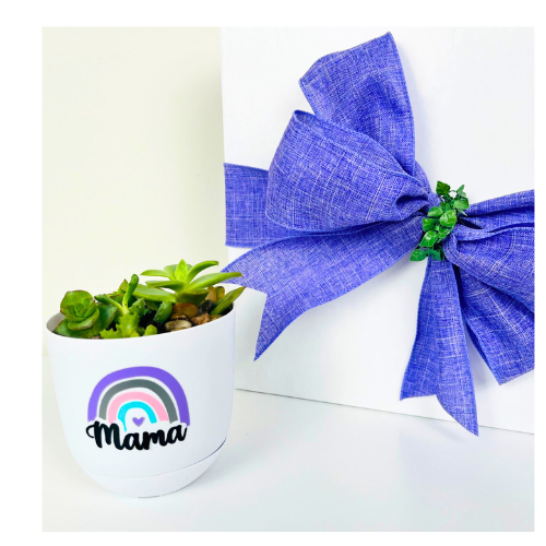 Baby & Mama Gift with Succulent