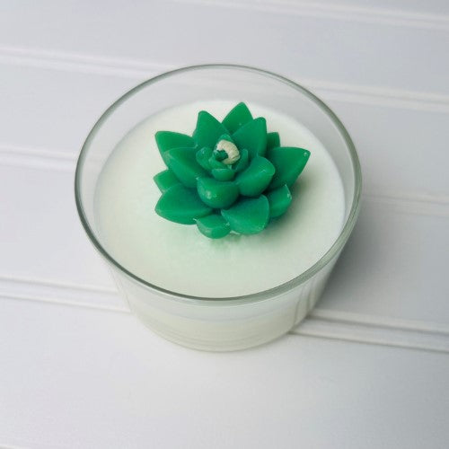 Candle with Succulent
