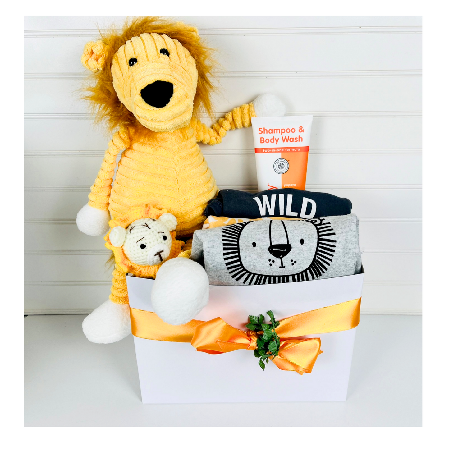 Baby Lion Gift