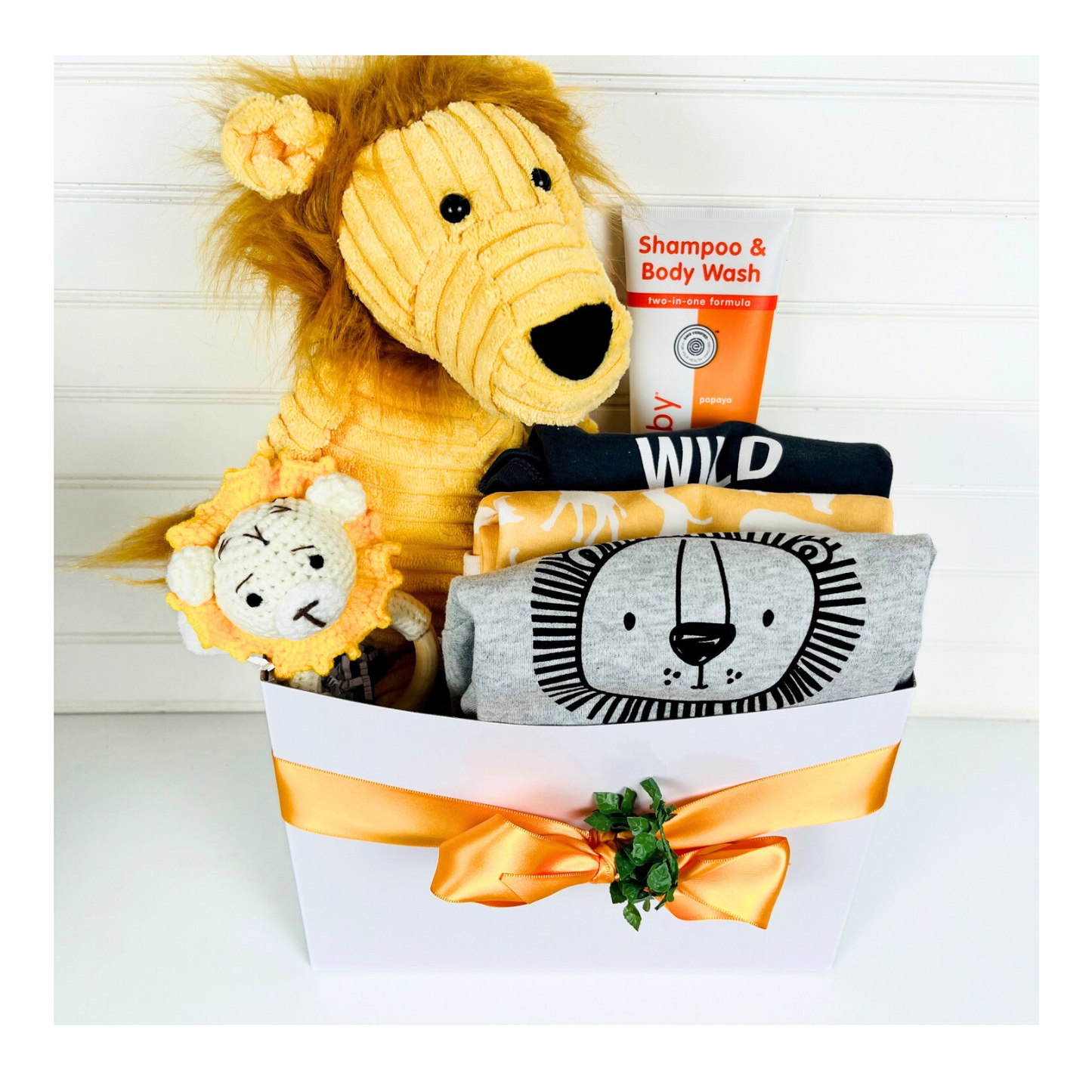 Baby Lion Gift