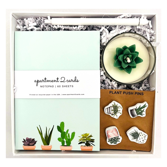 Succulent Themed Gift Box